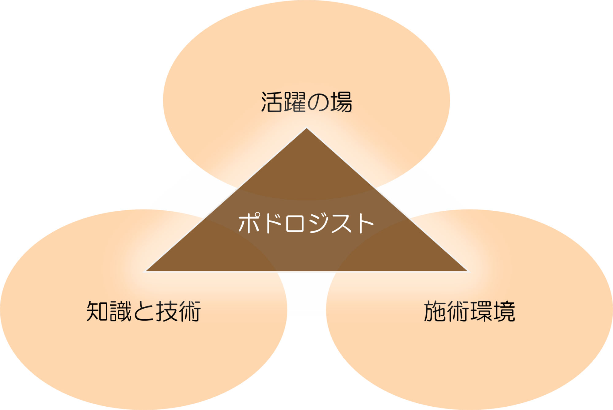 事業内容略図